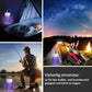 🔥Sommer Aktion 49% RABATT🔥-🦟USB / Wiederaufladbare Moskito & Fliegenfalle Lampe