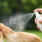 📢📢BUY 1 GET 1 FREE !! ⏰Pet Detangling & Shine Leave-in Conditioner Spray（Gentle formula safe for dogs & cats daily use）